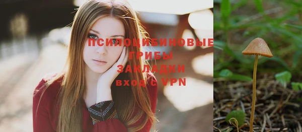 шишки Верхнеуральск