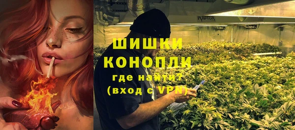 индика Волосово