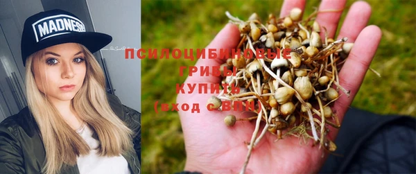 шишки Верхнеуральск