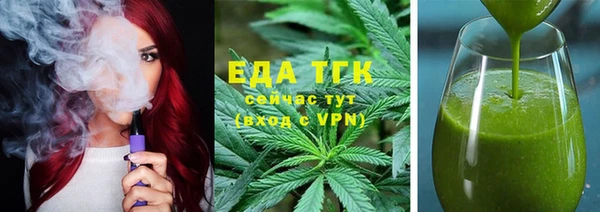 индика Волосово
