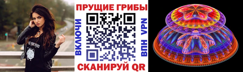Купить закладки  Омутнинск  Псилоцибиновые грибы мухоморы 